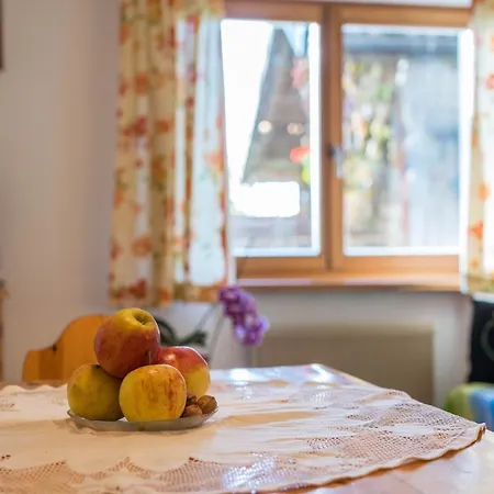 Apartment Ferienwohnung Toni Seis